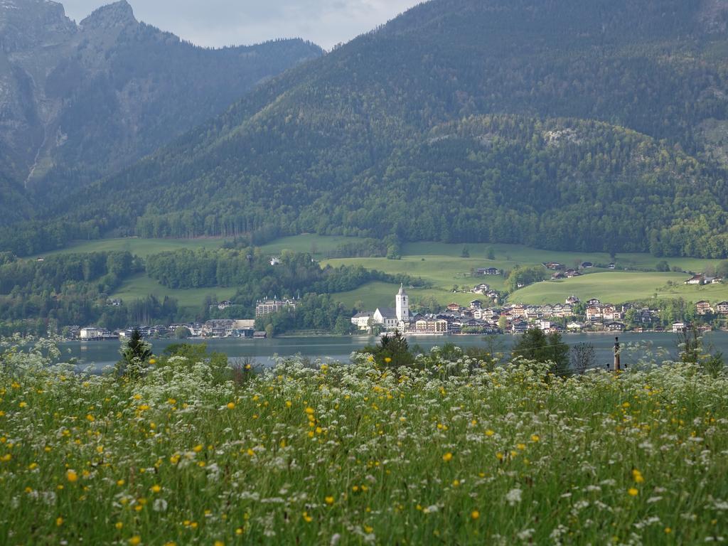 Lake View Apartment Sankt Wolfgang im Salzkammergut Ngoại thất bức ảnh