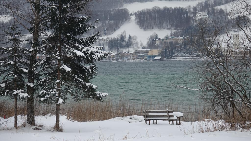 Lake View Apartment Sankt Wolfgang im Salzkammergut Ngoại thất bức ảnh